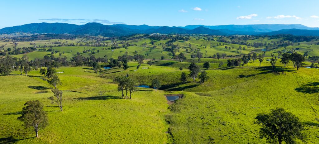 Elders Real Estate Bega